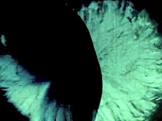 My secret life vintage eroticum with hairy beaver and retro fucking