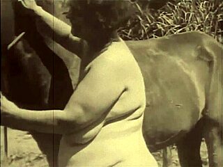 dark lantern presents beauty and the beast