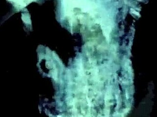 dark lantern presents beauty and the beast