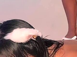 Gatita morena seindo cogida deliciosamente