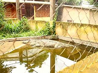 i felt so pleasured during that park quickie with his huge cock