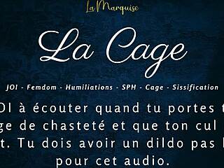 La Cage, umm, caged anal joi... so wild!
