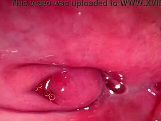 Amateur Asian pink pussy explored 172 days after first time