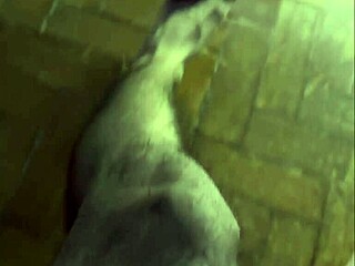 Brazilian beast with big black cock shows off massive feet