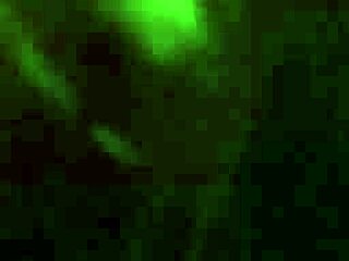 Blonde, share that blowjob smoke with me.