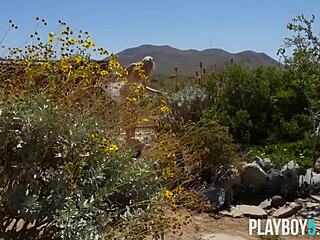 작은 블론드 틴 플레이보이 모델이 야외에서 작은 몸 드러내 흥분돼