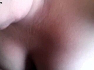 i titty fuck pamela dwyer pregnant