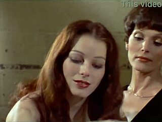 annette haven c j laing and gloria leonard maraschino cherry adventure