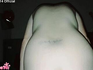 Homemade amateurs enjoy creampie sex with intense sentones