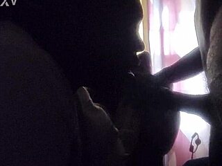 Girl next door discovers hidden talents in usa