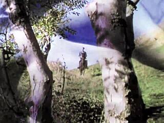 dark lantern presents beauty and the beast