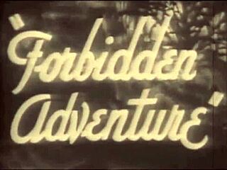 dark lantern presents beauty and the beast