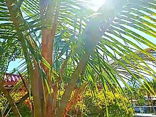 i'm a venezuelan slut fucking outdoors in medellin for my cuckold husband