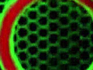 Finger Fucking On The Counter As Kitchen Babe Sara Jay Gets Off