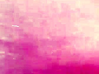 Amateurs hide activities at home