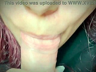 i'm giving a close-up blowjob to my partner, it's so homemade and amateur