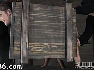 sadomasochism stories