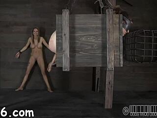 sadomasochism stories