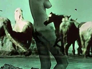 Vintage Entertainment Featuring Women And Animals