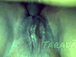 Melhores Momentos de 2022 Retrospectiva Anal e Blowjob