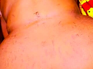 Sundaydogood614 Update 384 August 08 2024