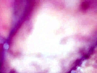 Amateur Video Part One Compilation