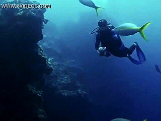 Super Shark Sexy Bikini Girl