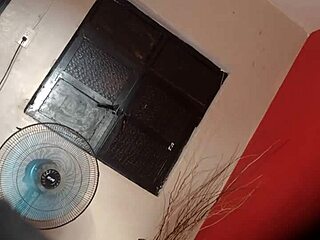 video de verificacion