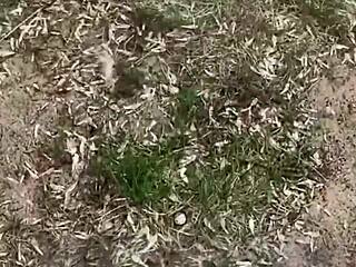 Home Video Couple Has Rough Doggystyle Orgasm