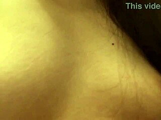 Hairy beaver gets some gentle attention