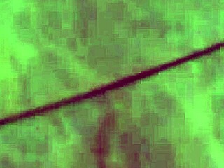 Abigail mac lesbian threesome bts