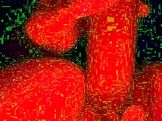 face down, i'm fucking that transmanpussy ftm close-up