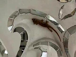 The white temple in Chiang Rai is magical right? 😍