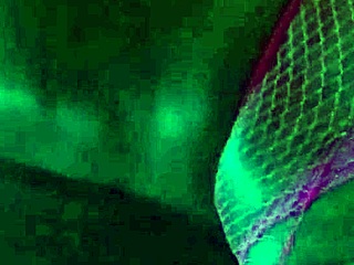 sensualizando e chupando rola