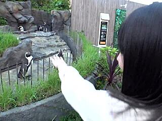 Asian Amateur Masturbation Leads To Facial In Full Version