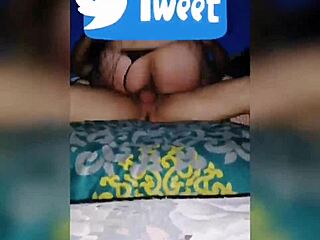 mi puta de piedras negras coahuila