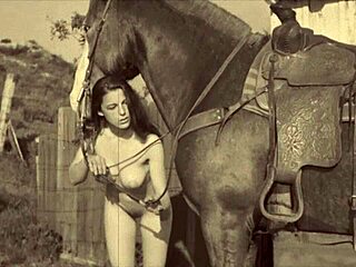 黑暗灯笼娱乐呈现从我秘密生活维多利亚时代英国绅士的色情忏悔