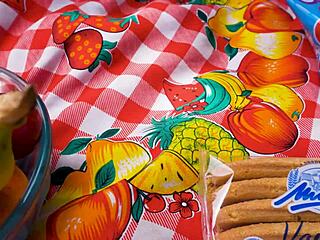 Lara ENJOYS a PICNIC that TURNS into a FULL VOMIT BARF FETISH MOVIE