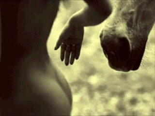 dark lantern entertainment presents from my secret life the erotic confessions of a victorian english gentleman