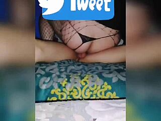 mi puta de piedras negras coahuila