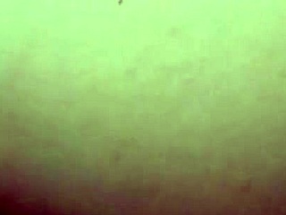 me follo a mi novia mientras mi suegra esta en el comedor 😏