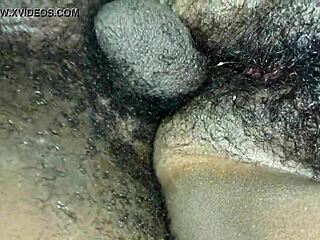 doggystyle neighbors wife