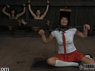 four angels inside tiny 18+ cage