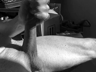 the first xvid video