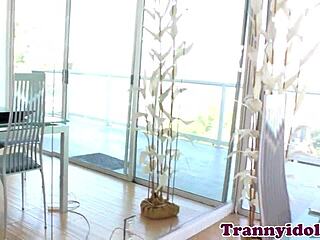 Tranny Babe Wanking While Assfucked in Fetish Lingerie