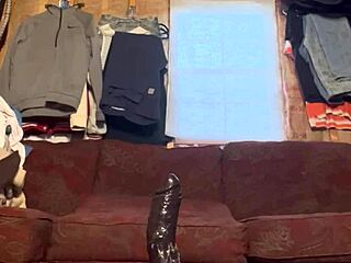 Ivory White Explores Anal Training Playfully.