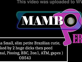 Small Brazilian Cutie Fucked by Two Huge Dicks, Peed, Anal Pissing BBC 2on1 ATM Slim 😱