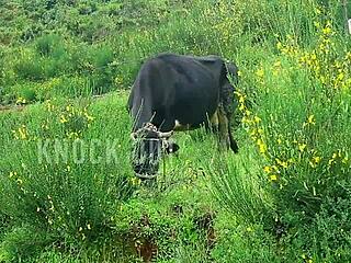 my wife's special week in this uncut tamil film 😍