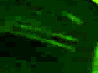 Wife bent over in doggystyle position