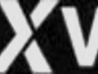 indo amateur adventures